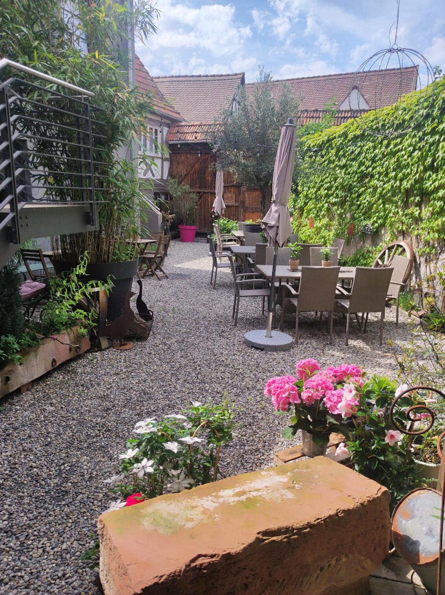 Hofgarten Rosa Ilbesheim bei Landau in der Pfalz Exteriér fotografie