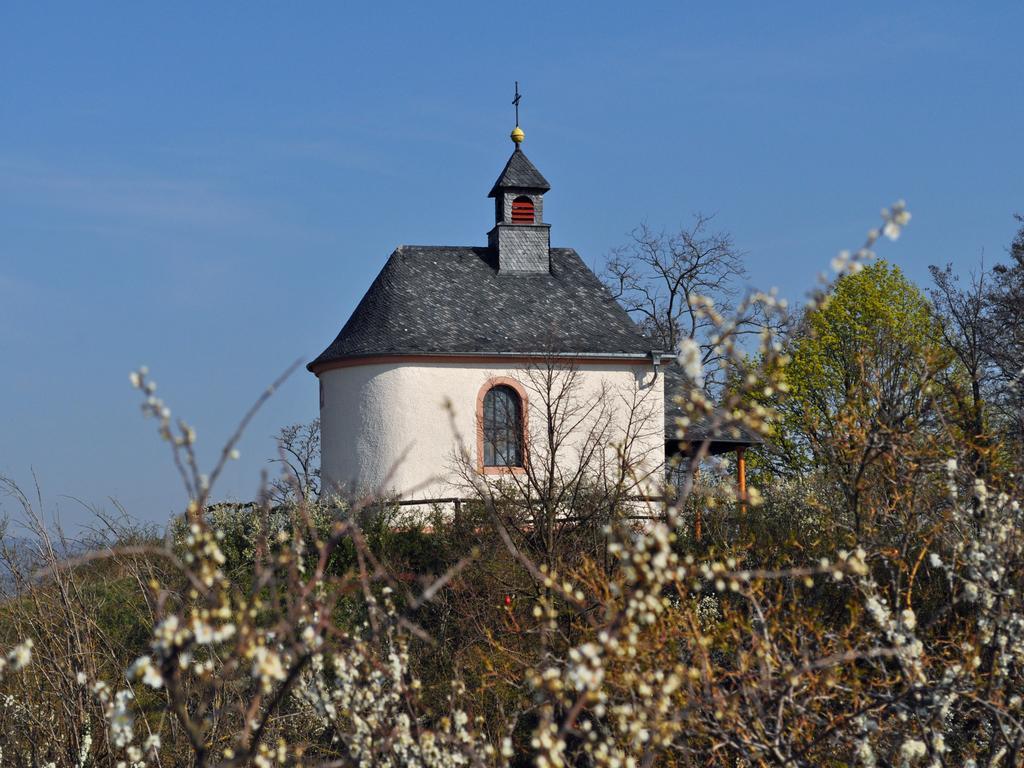 Hofgarten Rosa Ilbesheim bei Landau in der Pfalz Exteriér fotografie