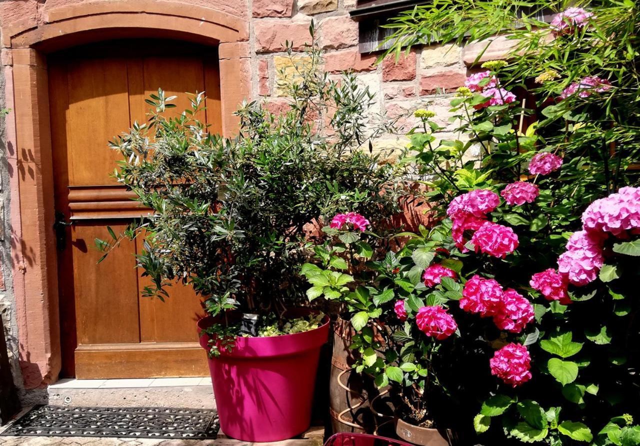 Hofgarten Rosa Ilbesheim bei Landau in der Pfalz Exteriér fotografie